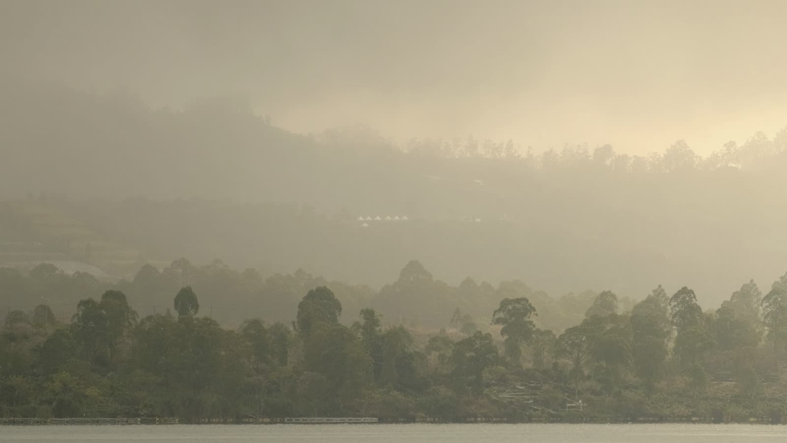 Adhilokha — Misty Forest Villa